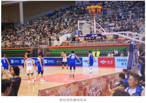 企业微信截图_20240605084632.png